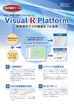 Visual R Platform 製品パンフレット