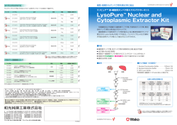 LysoPure™ Nuclear and Cytoplasmic Extractor Kit