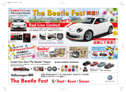 The Beetle Fest