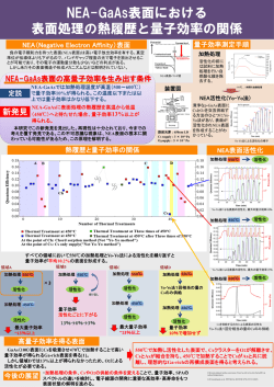 PDF version - Meguro Lab