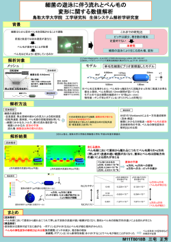 三宅正芳（PDF） - 応用数理工学科