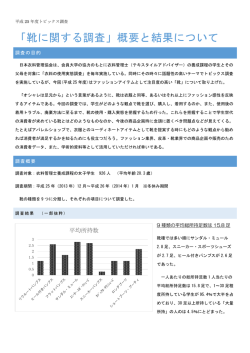 報告書概要 - 日本衣料管理協会