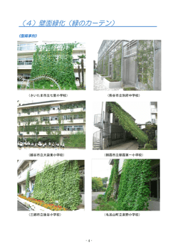 （4）壁面緑化（緑のカーテン）（PDF：2604KB）
