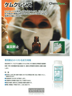 ChemKlenz/日本語