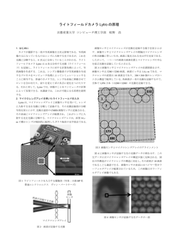 原稿PDF - 京都産業大学