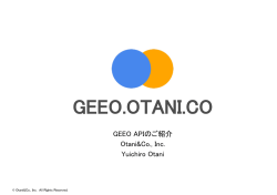 GEEO.OTANI.CO - Otani&Co. Inc.