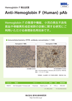 Anti-Hemoglobin F (Human) pAb