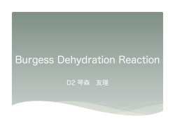 Burgess Dehydration Reaction（PDFファイル）