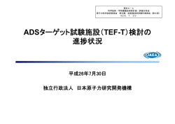 資料6-4 ADSターゲット試験施設（TEF-T）検討の進捗状況 （PDF:1289KB）