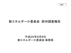 新エネルギー小委員会 欧州調査報告