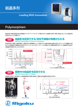 P。ーym。rphism