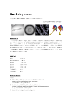 分子細胞生物学研究室 (研究内容PDF)