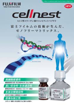 cellnest Catalogue_表面_Fin_n_ol.ai