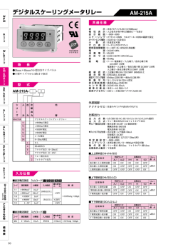 デジタルスケーリングメータリレー AM-215A