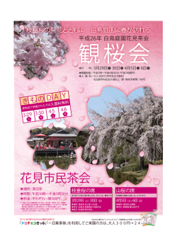 「観桜会 花見茶会」PDF