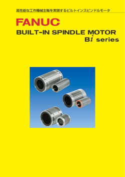 FANUC BUILT-IN SPINDLE MOTOR Bi series