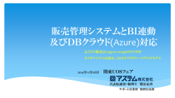 販売管理システムとBI連動 及びDBクラウド(Azure)対応