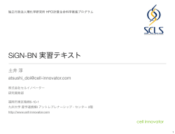 SiGN-BN 実習テキスト