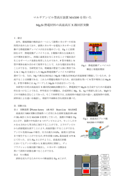 マルチアンビル型高圧装置 MAX80 を用いた Mg2Si 熱電材料の高温