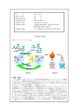 学位論文の要約