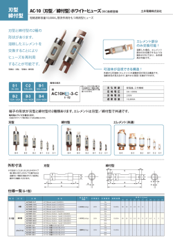 AC-10 BS White Fuse1