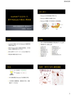 BD SurePath法を用いた尿細胞診の検討 －特にCR Redと