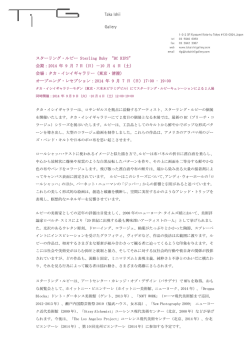 スターリング・ルビー Sterling Ruby “BC RIPS” 会期