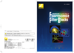 落射蛍光用フィルタブロック 蛍光フィルタ波長特性表（ PDF: 1.36MB