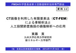 （CT-FEM） による骨解析法と 人工股関節置換股の損傷解析への応用