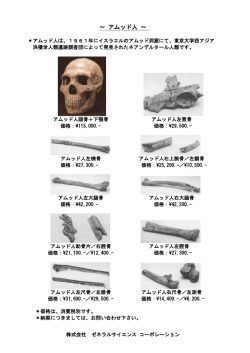 ～ アムッド人 ～