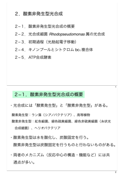 酸素非発生型光合成の概要