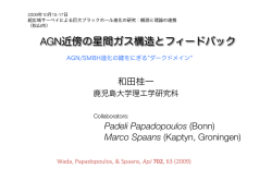 AGN近傍の星間ガス構造とフィードバック:和田 (30)