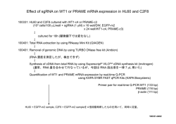 Effect of sgRNA on WT1 or PRAME mRNA expression in HL60 and