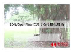 発表資料 (PDF)