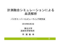 計測融合シミュレーションによる 血流解析