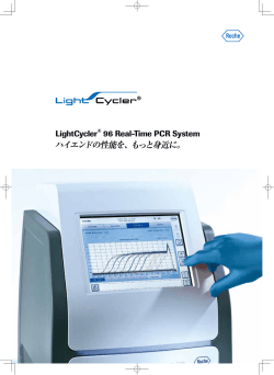 PDFダウンロード
