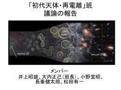 「初代天体・再電離」班 議論の報告