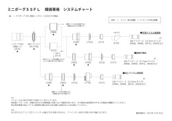 ミニボーグ55FL 眼視専用 システムチャート