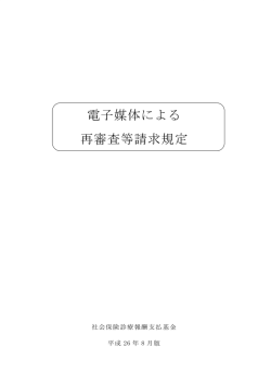 電子媒体による 再審査等請求規定