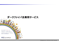 ダークファイバ光専用サービス