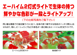 エーハイム2灯式ライトで生体の持つ 鮮やかな色彩が一段とライトアップ！