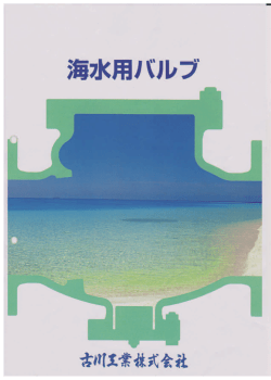 海水用バルブカタログDL（PDF）