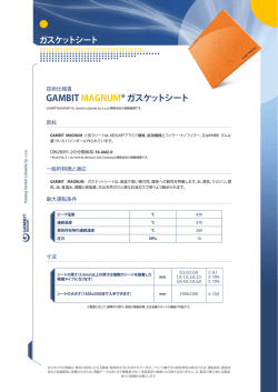 技術仕様書 - Gambit Lubawka Sp. z oo