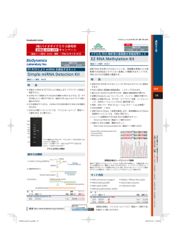 EZ RNA Methylation Kit Simple miRNA Detection Kit