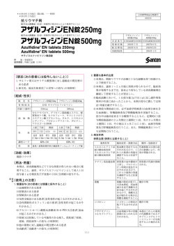 PDFファイル