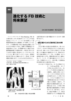 〈総論〉進化するFB技術と将来展望