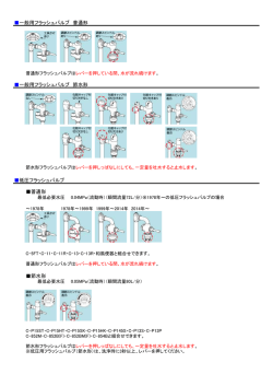 一般用フラッシュバルブ 普通形 一般用フラッシュバルブ 節水形 低圧