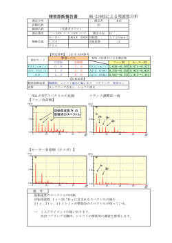 精密診断報告書 MK-210HEによる周波数分析