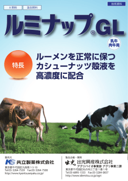 1402_ルミナップGL_チラシ最終