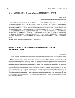 ラット島皮質における parvalbumin 陽性細胞の分布特性